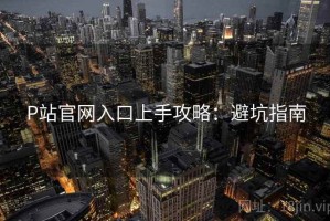P站官网入口上手攻略：避坑指南
