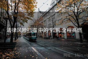 法律风险扫描 中的 91网 全程高燃