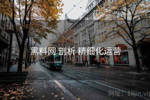 黑料网 剖析 精细化运营