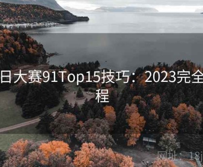 每日大赛91Top15技巧：2023完全教程