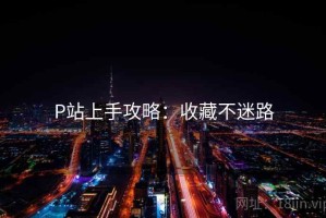 P站上手攻略：收藏不迷路