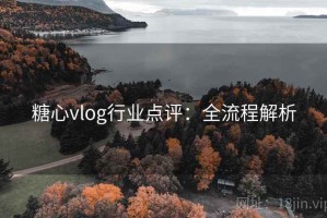 糖心vlog行业点评：全流程解析