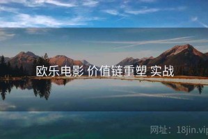 欧乐电影 价值链重塑 实战