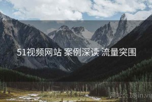 51视频网站 案例深读 流量突围