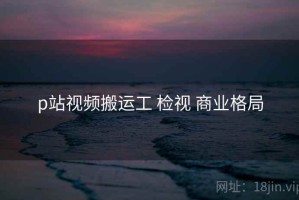 p站视频搬运工 检视 商业格局