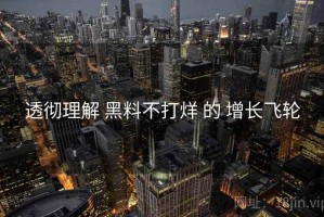透彻理解 黑料不打烊 的 增长飞轮