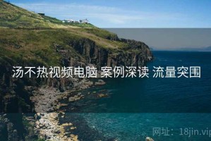 汤不热视频电脑 案例深读 流量突围
