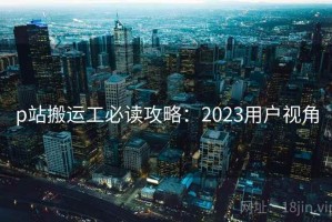 p站搬运工必读攻略：2023用户视角