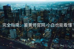 完全指南：鉴黄师官网 小白也能看懂