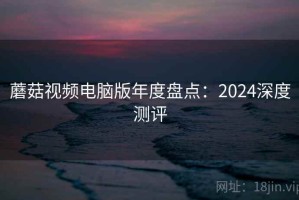 蘑菇视频电脑版年度盘点：2024深度测评