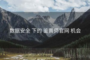 数据安全 下的 鉴黄师官网 机会