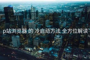 p站浏览器 的 冷启动方法 全方位解读