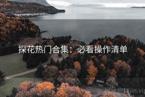 探花热门合集：必看操作清单