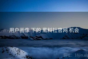 用户画像 下的 黑料社官网 机会