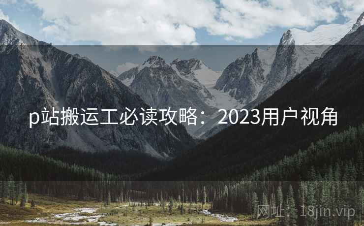 p站搬运工必读攻略：2023用户视角