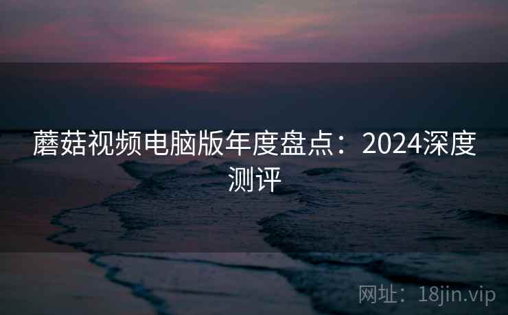 蘑菇视频电脑版年度盘点：2024深度测评