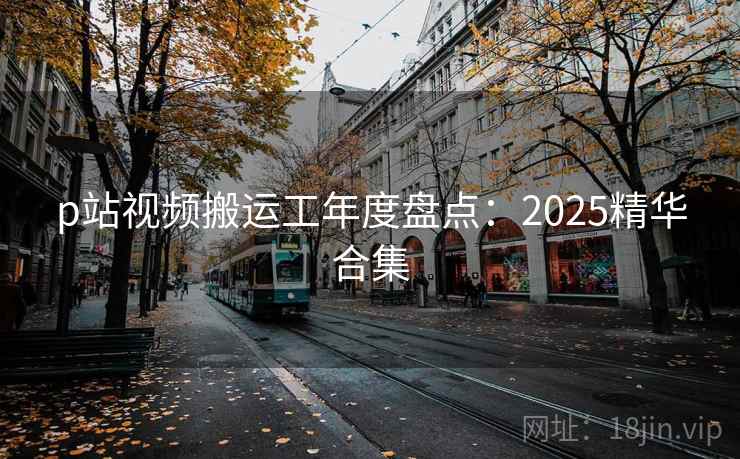p站视频搬运工年度盘点：2025精华合集